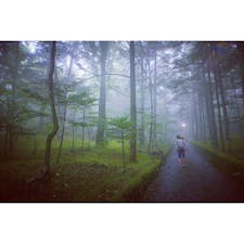 ❇︎幸福の谷-Happy Valley-❇︎