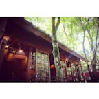 ❇︎癒しのカフェ ミハエル❇︎