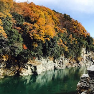 2017/11/25
埼玉県秩父市/Chichibu,saitama
#岩畳