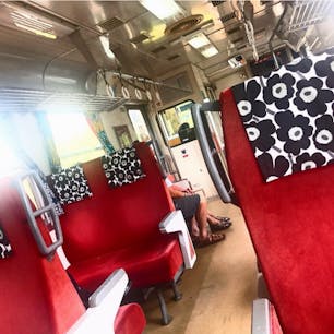 #スローライフトレイン #天竜浜名湖鉄道 #浜松 #静岡
2017年7月

#マリメッコ列車