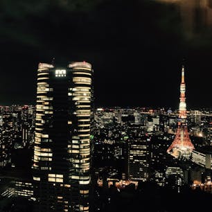 東京タワーと夜景
･:*+.\(( °ω° ))/.:+