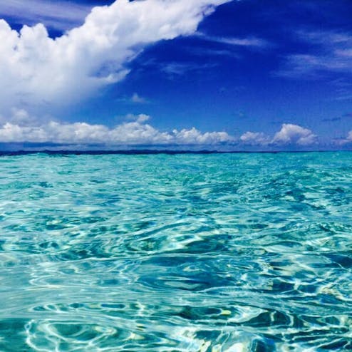 パラオ Palau の投稿写真 感想 みどころ パラオ ガラロン州すごくキレイな海が広がっています南部の トリップノート パラオ Palau の投稿写真 感想 みどころ パラオ ガラロン州すごくキレイな海が広がっています南部の トリップノート