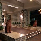 宮古島のホテル
シーサーが出迎えてくれました