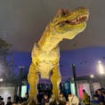 福井：恐竜博物館