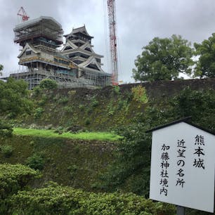 一日も早く修復が完了しますように…
#熊本 #熊本城
