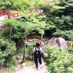 #紅葉谷公園 #宮島 #広島
2017年8月