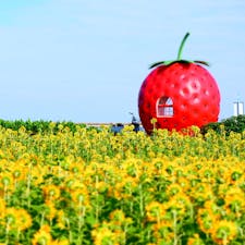 #長崎#フルーツバス停#いちご