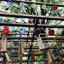 川越氷川神社へ
たくさんの風鈴🎐でした。
#川越氷川神社