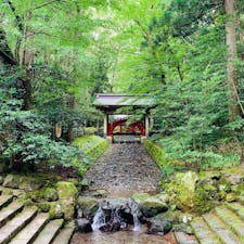新潟県

弥彦神社⛩
