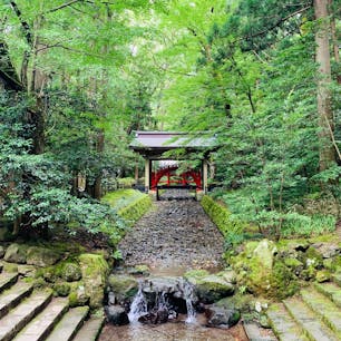 新潟県

弥彦神社⛩