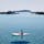 新島
前浜海岸でのSUP!
船底は白く、波がないと海に浮いているというよりも宙に浮いてるような写真が撮れます。
#新島