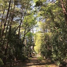 三鷹市 国立天文台