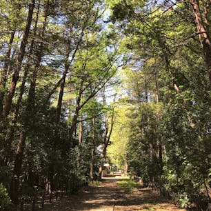 三鷹市 国立天文台