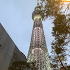 東京スカイツリー🗼
初ライトアップしたのを間近で見ました😊
もう少し暗くなれば、もっと夜景がきれいだと思います。
#東京スカイツリー
#ライトアップ