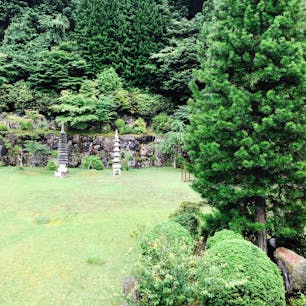 上池院さんのお庭です♬