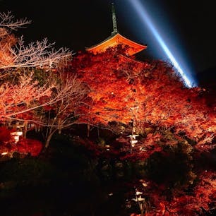#清水寺 #京都
2017年11月