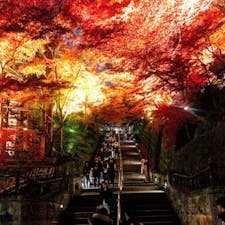 #清水寺 #京都
2017年11月