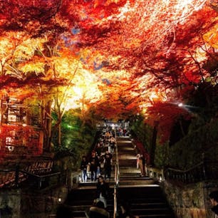 #清水寺 #京都
2017年11月