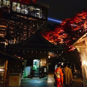 #清水寺 #京都
2017年11月