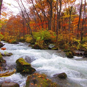 奥入瀬渓流の紅葉
近くの十和田湖湖畔の紅葉も素敵
いつか新緑もみてみたい
#青森県 #奥入瀬渓流