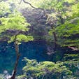 肉眼では、写真だと伝えきれないくらいの
透明度と青い池だった
#青森県 #十二湖