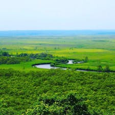 釧路湿原に行きました！
夏だったので超暑かったです！人はほとんどいませんでした！！