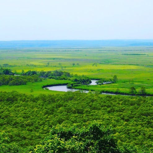 釧路湿原国立公園