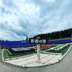 北海道2日目は富良野→美瑛→旭川のホテルで観光しました◎
有名所ばかりですが、皆さんの旅行の参考になれば幸いです笑

#北海道 #富良野 #彩香の里