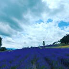 彩香の里2枚目です。
駐車場の方から取れば良かったと少し後悔しました・・