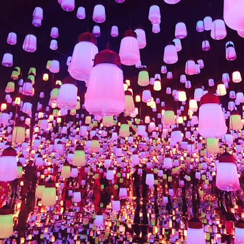 【閉業】森ビルデジタルアートミュージアム エプソンチームラボ ボーダレス