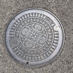 山形！ たんぽぽ？