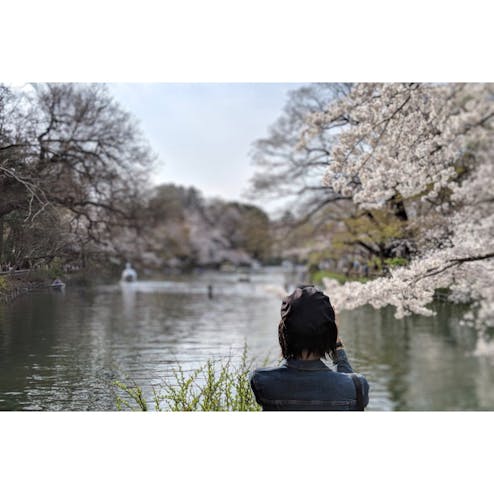 井の頭恩賜公園