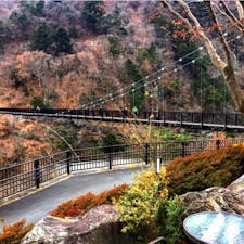 #鬼怒楯岩大吊橋 #鬼怒川温泉 #栃木
2017年12月

高所恐怖症の人は要注意🚨笑