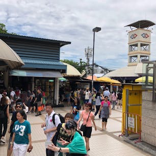 チャトゥチャック・ウィークエンドマーケット
初めて行ったので キョロキョロでした👀 何でも 売ってて 楽しかった😁