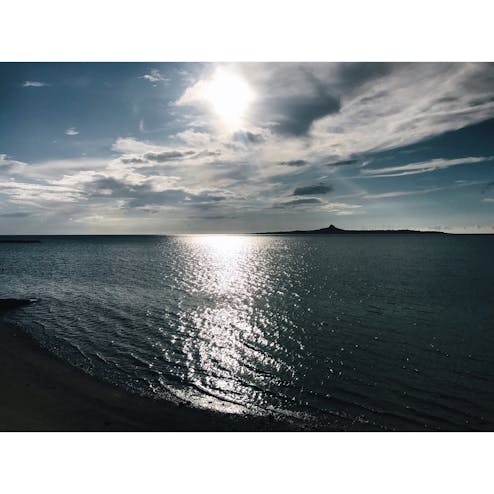 備瀬のフクギ並木