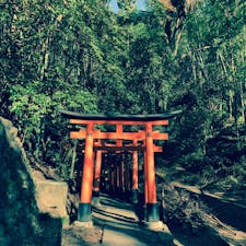 千本鳥居のその先