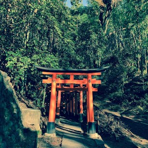 千本鳥居のその先