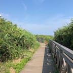 神奈川県
城ヶ島