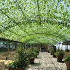 ウラジオストク
遊園地横のフードコート的な場所。