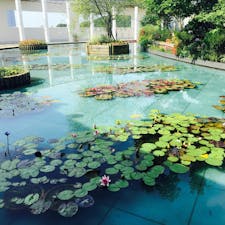 大塚国際美術館