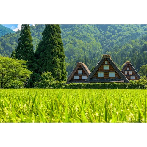 白川郷合掌造り集落
