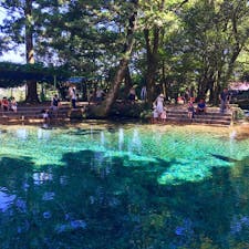 #別府弁天池
#山口
#8月
#観光スポット