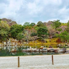 #天龍寺 #嵐山 #京都
2018年3月

庭園は日本文化の中でもすごく大好きかもしれない😌