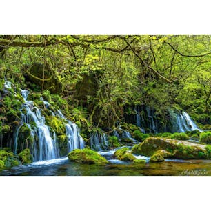 元滝伏流水。滝の周りだけひんやりしてた。