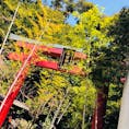 静岡県熱海市  来宮神社

一周すると寿命が1年延びると言われていて、パワースポットでもある樹齢2000年の大楠に圧倒されました