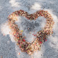 来宮神社の中にあるハート型の落ち葉がとても可愛かったです😊