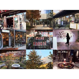 ▽代官山

2017秋