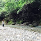 愛媛県四国中央市新宮町
「霧の森」