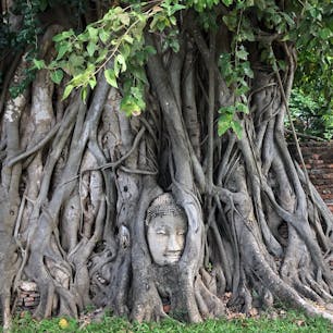 ワット・プラ・マハタート
アユタヤと言えばこれ！って感じ。
写真撮影が後を絶たない。