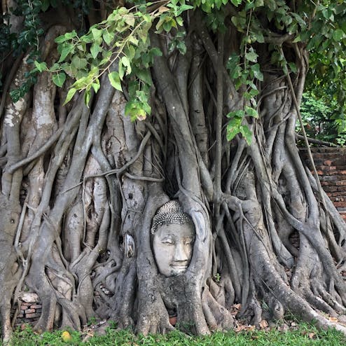 ワット・プラ・マハタート